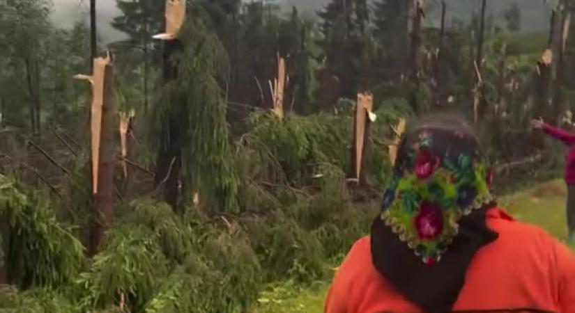 Tarolt a vihar: villámcsapás sújtott halálra egy férfit, egy hektár erdőt kidöntött a szél