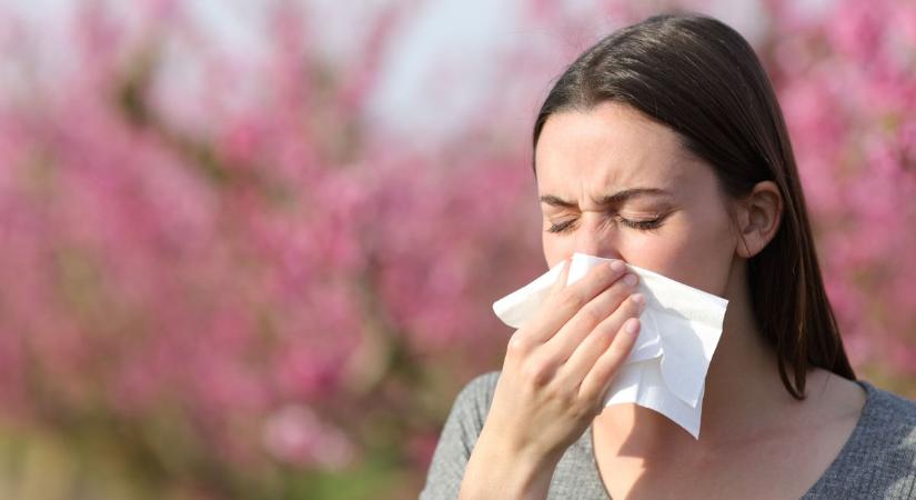 Allergia: a nyári gyomok megkeseríthetik a következő napokat