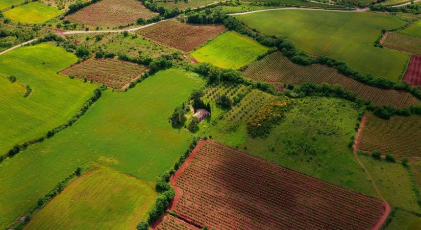 Elindult a licitálás: 20 ezer hektár termőföld vár új gazdára