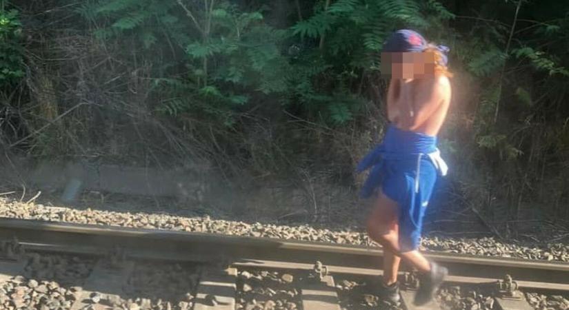 Félmeztelen nő sétálgatott a síneken Budaörsnél, megbénítva a közlekedést