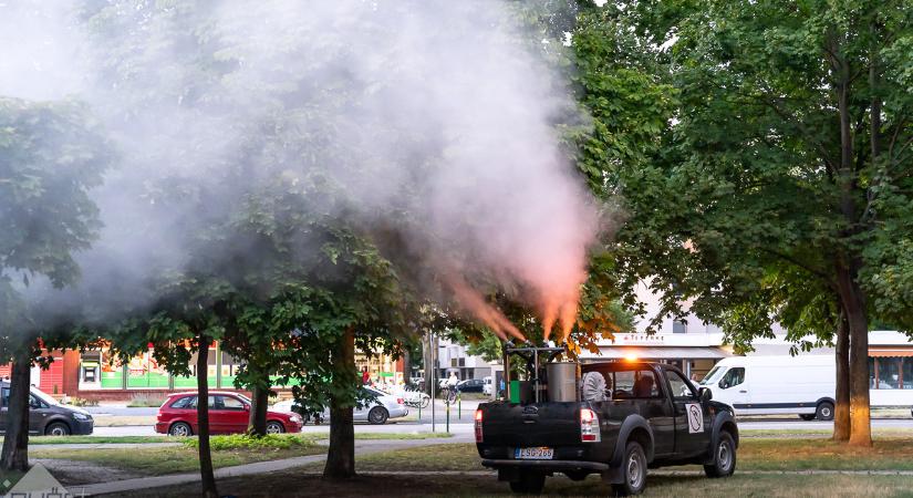 Ne csípjetek! Csütörtökön is irtják a szúnyogokat Győrben