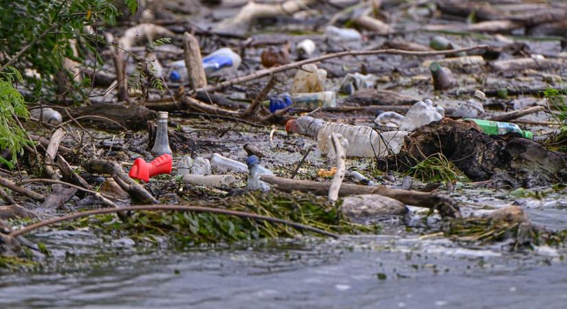 Uszadékkal, kirándulókkal érkezik a hulladék a Tisza-tóba