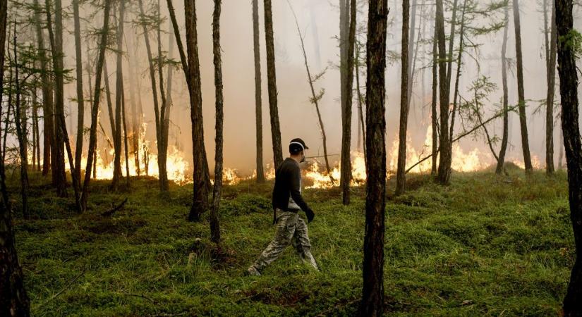 Erdőtüzek miatt hirdettek rendkívüli állapotot Oroszországban