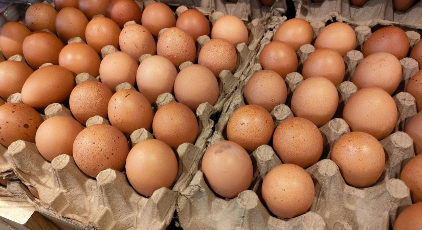 Fellélegezhetnek a tojástermelők, de vannak még kérdőjelek