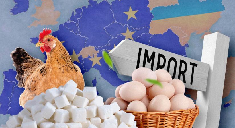 Az EU visszaállította az Ukrajnából származó tojásra és cukorra kivetett vámokat a túlzott importmennyiség miatt