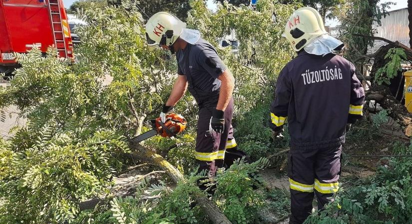 Fák dőltek az utakra Hajdú-Biharban, Debrecenben egy munkagép is kigyulladt