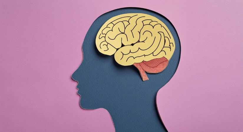 Nem látja az agyunk, ami zavar minket, magyar kutatók mondták meg, hogy mi ennek az oka