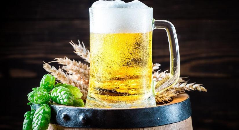 Az elmúlt évben 10 százalékkal csökkent a sörfogyasztás Magyarországon