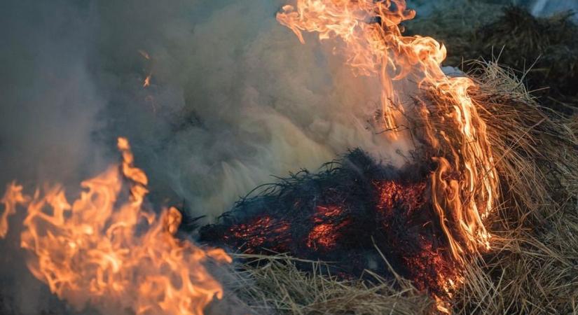 Nádudvari marhatartó telepen csaptak fel a lángok péntek délután