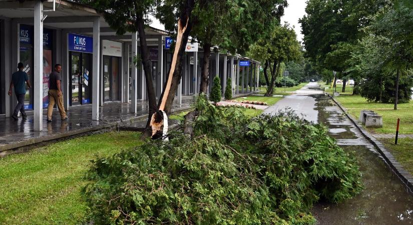 Viharos szél miatt adtak ki riasztást ezekre a járásokra!