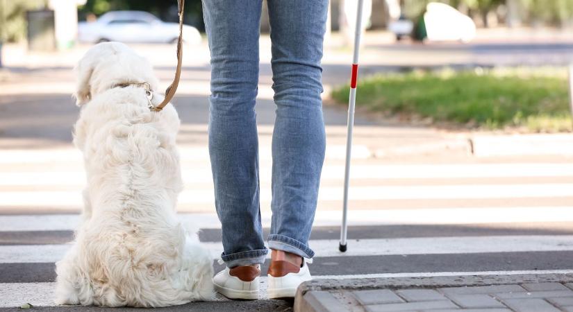 Könnyebbé tennék a látássérültek életét az MI-val