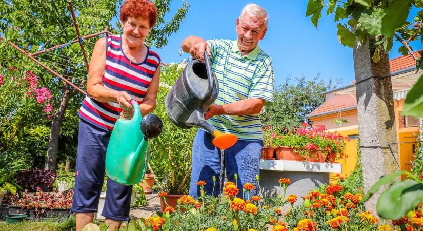 Mit tegyünk, hogy ne száradjon ki a fű nyáron? – így védhetjük meg kerti növényeinket a hőségben