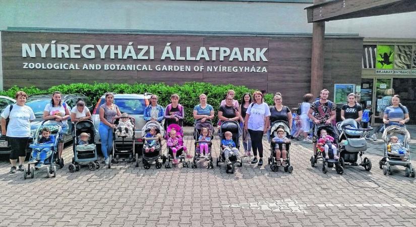 Nyírmadaiak mocorogtak a Nyíregyházi Állatparkban