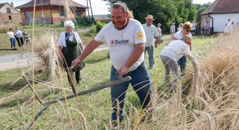 A közösség ünnepe: aratónapot tartanak Petőolaszkán - fotók