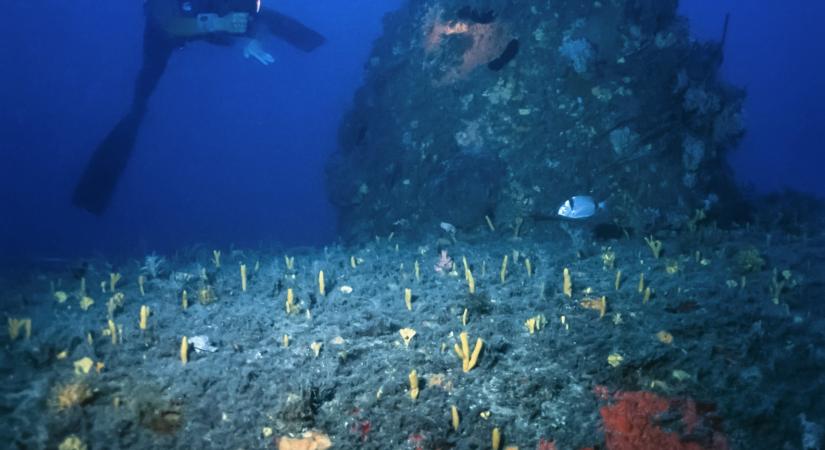 Csaknem százéves tengeralattjáró roncsát találták meg