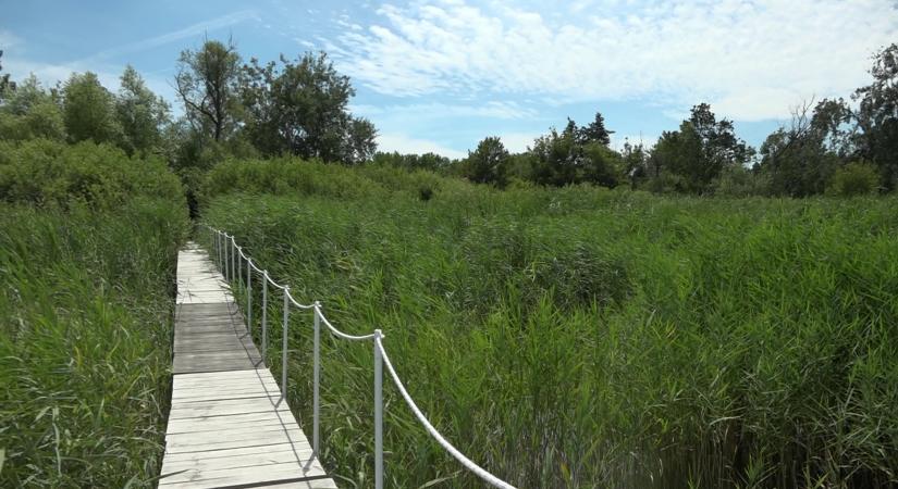 Illegálisan épített stégeket bontanak a Balatonnál  videó