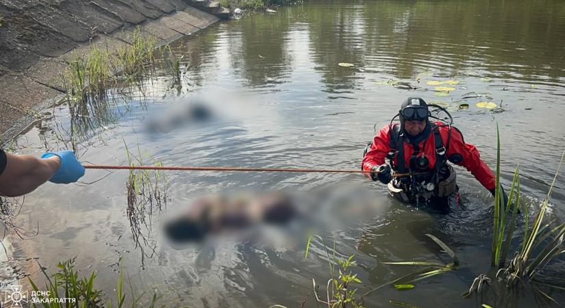 Tragédia: Két tinédzser fulladt vízbe a Beregszászi járásban