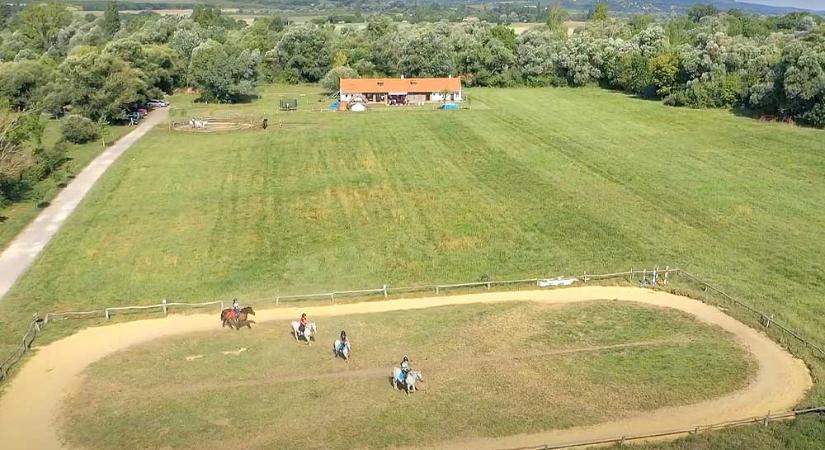 Súlyos baleset a nyári táborban: megrúgott a ló egy 8 éves kislányt, mentőhelikopterrel vitték kórházba