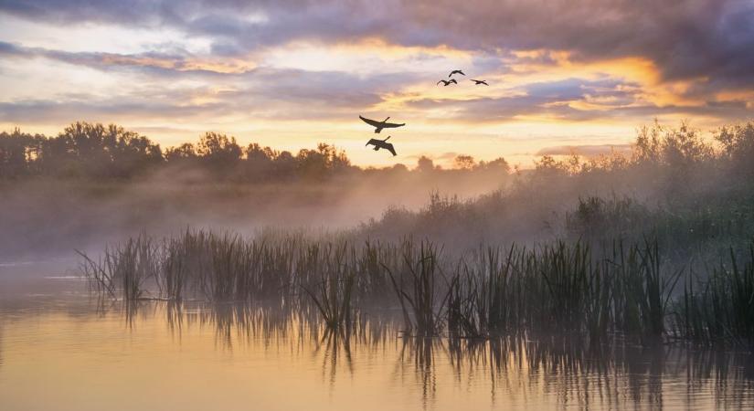 Így alakult a Duna és a Tisza vízszintje Bács-Kiskunnál