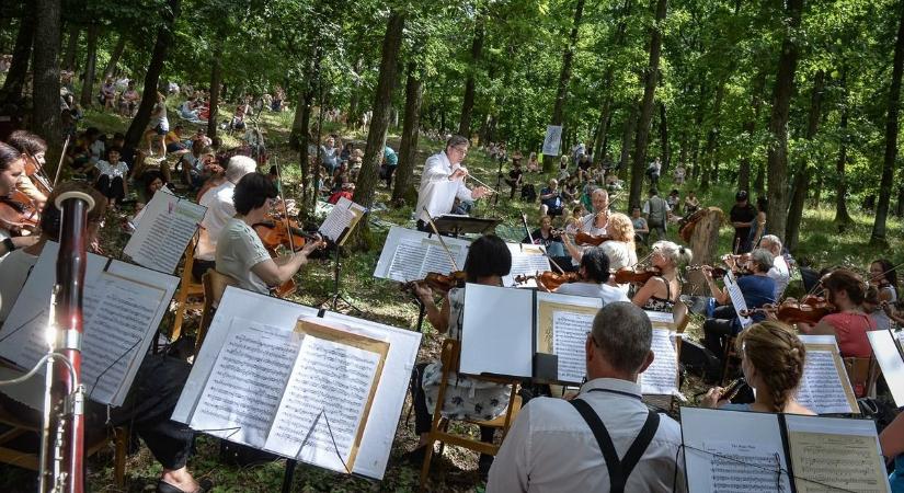 Gyöngyöspatán szólt szombaton az erdei muzsika