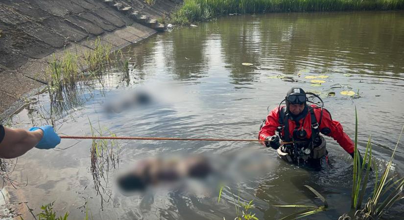 Iskolás kislányok fulladtak vízbe Bótrágyon