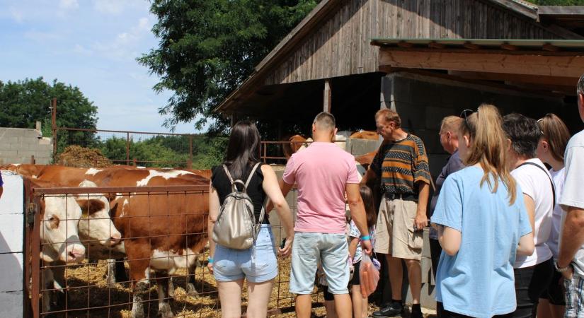 Nyitott porta a Marsalkó Farmon