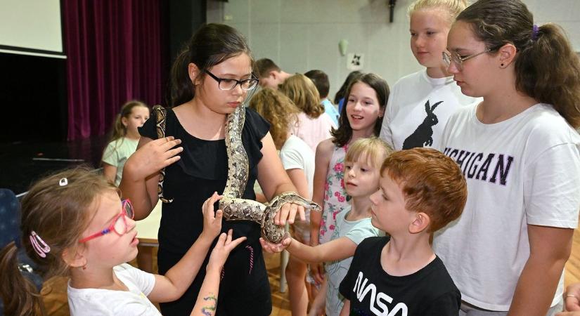 Nyuszit és kígyót is lehetett simogatni az EKMK táborában