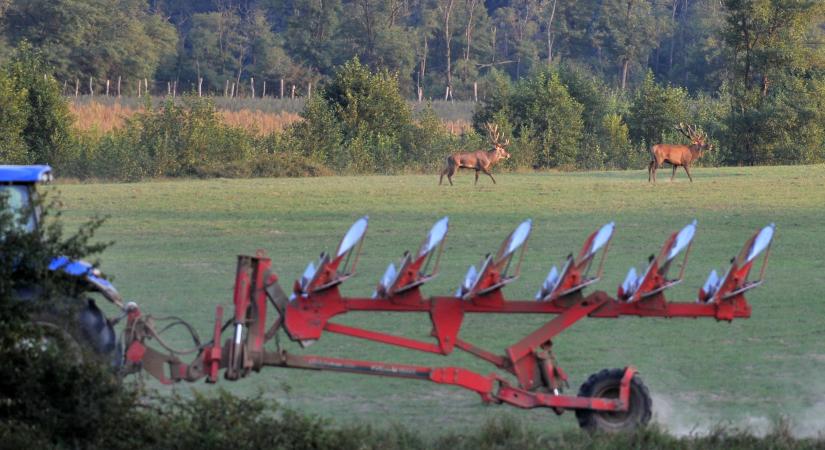 Versenyhátrányba kerülhetnek a magyar gazdák, mégis nehezen váltanak a talajművelésben