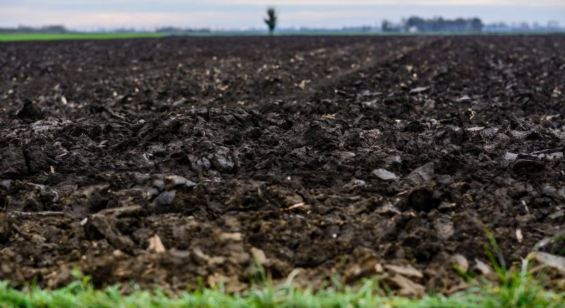 Egyszerűbben ajánlhatják fel az ingatlanokat az államnak az örökösök