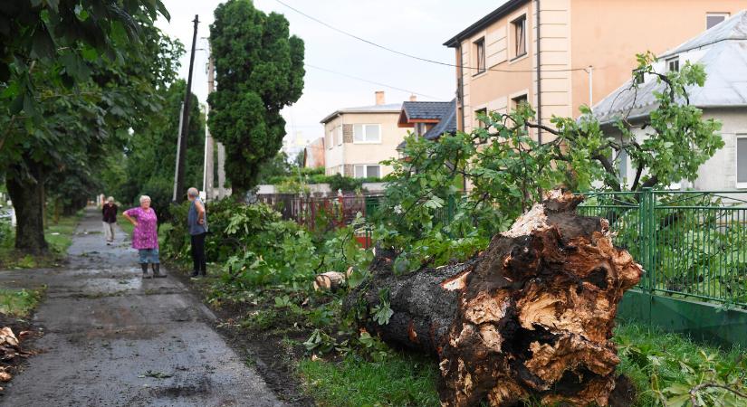 Életbe lépett a vihar miatt kiadott citromsárga riasztás