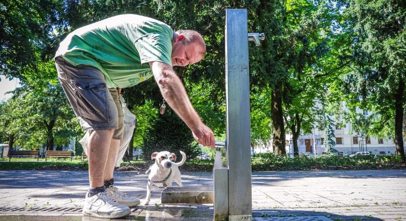 Súrol bennünket egy hidegfront, de nem hoz lehűlést