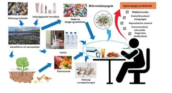 A mikroműanyagok és a táplálkozás összefüggései