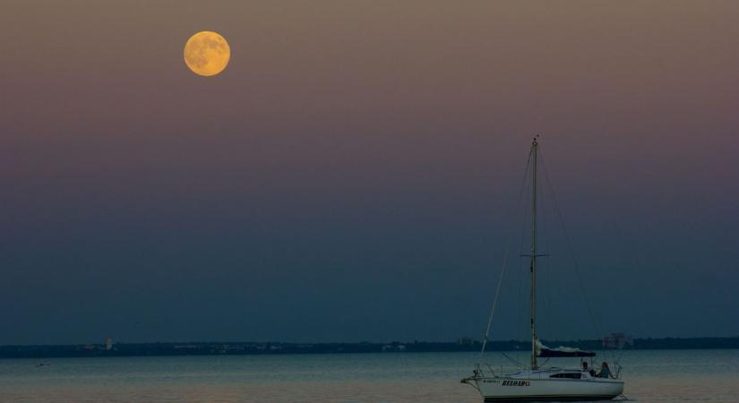 Pánik a Balatonnál: elképesztően veszélyes állatra bukkantak