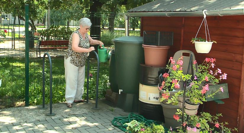 Jól jönnek a kánikulában a debrecenieknek kiosztott esővízgyűjtő edények – videóval