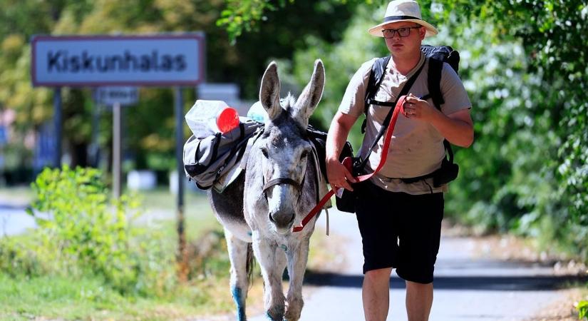 Négyszáz kilométert gyalogol a szamarával Patrik, hogy rezervátumot hozzon létre – galériával