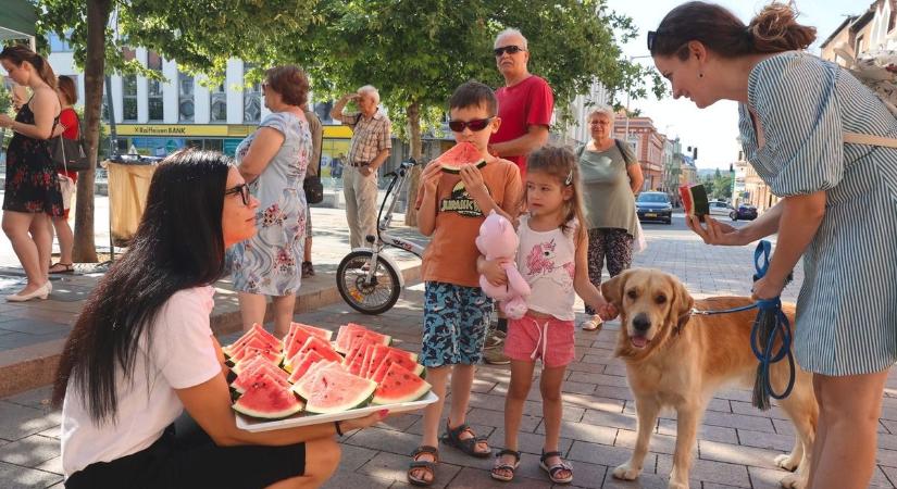 Szabad a kóstolás a mézédes ormánságiból