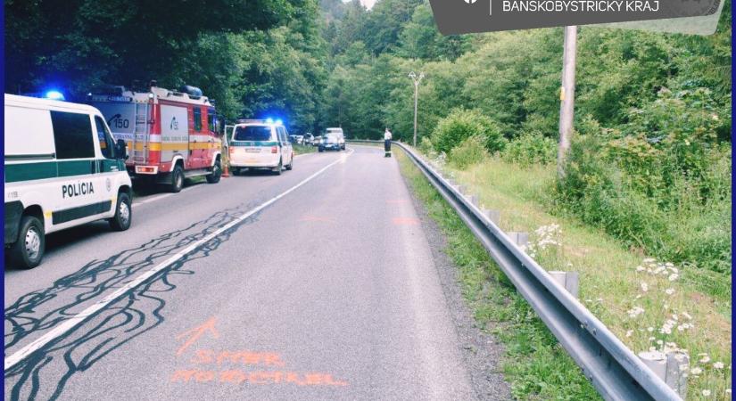 A medvével történt ütközés részletei Jarabónál: A motoros elvesztette az eszméletét!