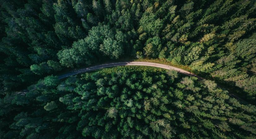 Magyar tőkével építkezik a regionális klímaprojektek úttörője