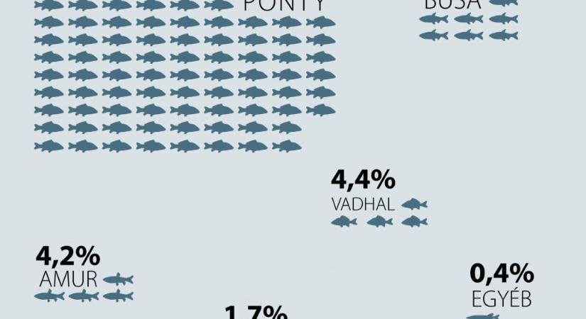 A tógazdasági haltermelés volumene 7 százalékkal csökkent