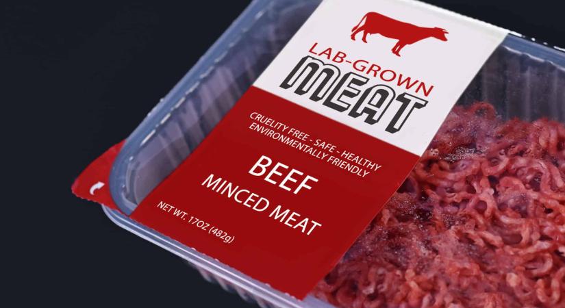 Létrejött a törvénytervezet, betiltaná a kormány a szintetikus húsalternatívákat