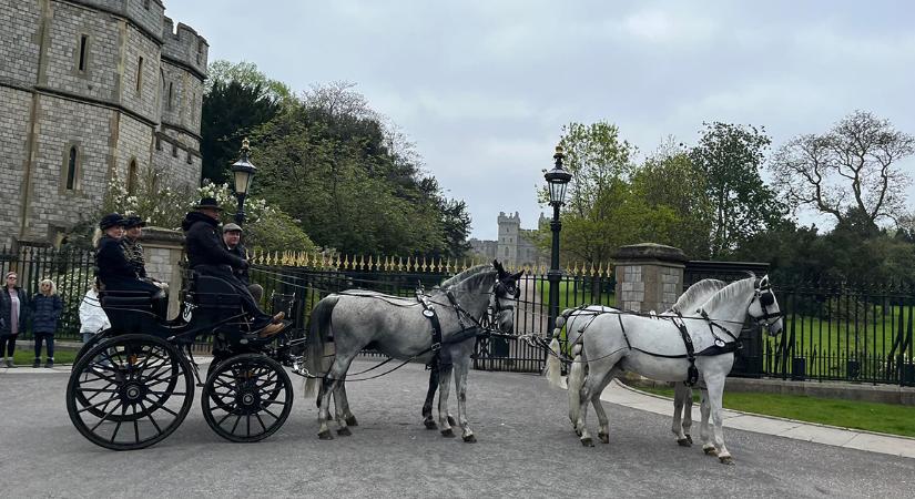 Hazai sikerek a Royal Windsor Horse Show-n