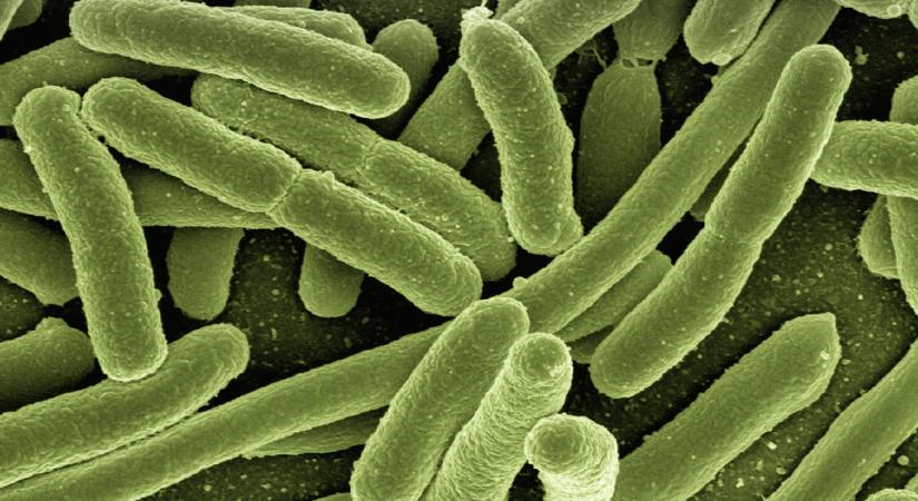Antibiotikumok helyett fénysugarakkal pusztíthatóak el a fertőző baktériumok?