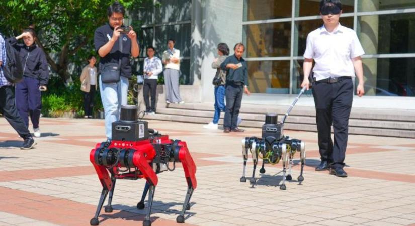 A jövőben robotkutyák válthatják le a vakvezető kutyákat