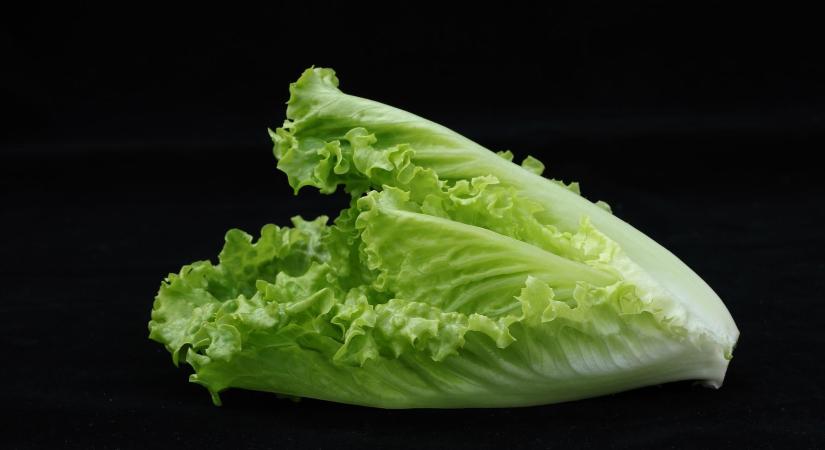 100 éves a világ leghíresebb salátája