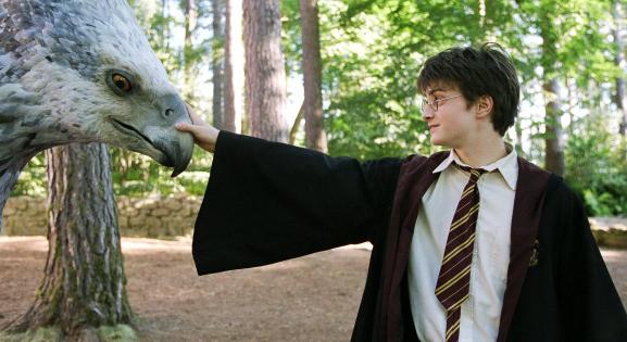 9 legendás lény, ami nem maradhat ki a Harry Potter-sorozatból