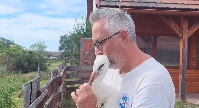 Videó: egy utolsó puszi a gólyáknak és szabadok