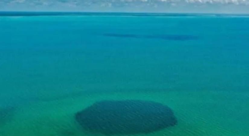Leereszkedtek a világ legmélyebb “kék lyukába” az óceán fenekén – hihetetlen dolgot találtak ott