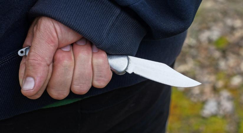 Kész horror: egyik ismerősét fakaróval, a másikat 50 késszúrással ölte meg a miskolci fiatalember