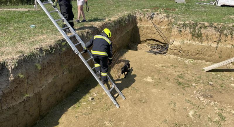 Kutyát mentettek a tűzoltók