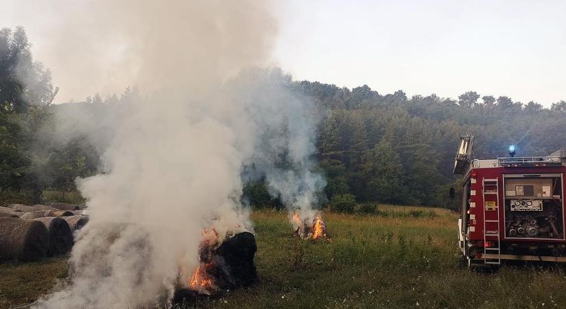 Szabadtéri tüzekhez vonultak a tűzoltók